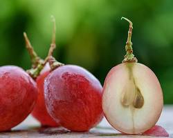 Grapes Seeds